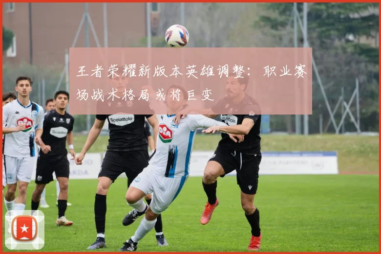 王者荣耀新版本英雄调整:职业赛场战术格局或将巨变